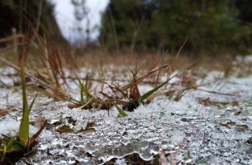 МОЙ ГОРОД В МОЁМ СЕРДЦЕ