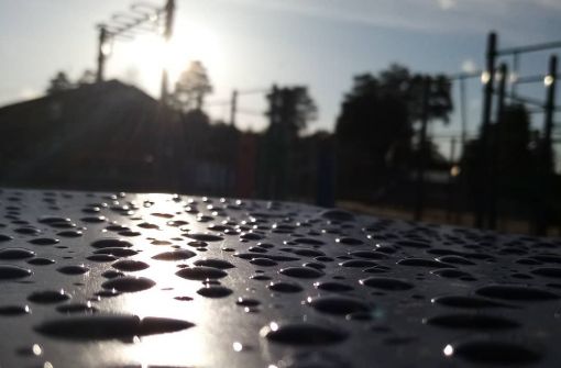 ПОБЕДИТЕЛИ